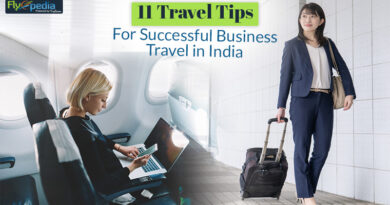 11 Travel Tips for Successful Business Travel in India