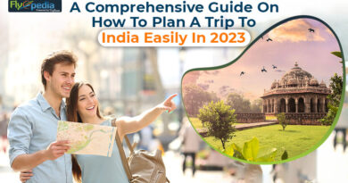 A Comprehensive Guide On How To Plan A Trip To India Easily In 2023