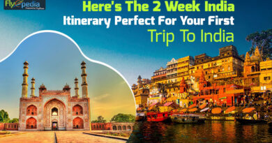 Here’s The 2 Week India Itinerary Perfect For Your First Trip To India