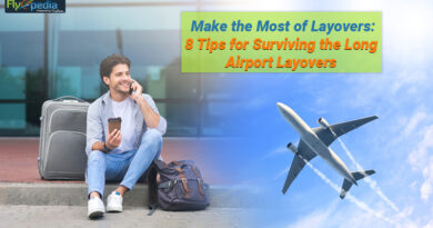 Make the Most of Layovers 8 Tips for Surviving the Long Airport Layovers