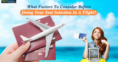 What Factors To Consider Before Doing Your Seat Selection In A Flight