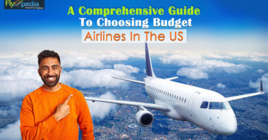 A Comprehensive Guide To Choosing Budget Airlines In The US