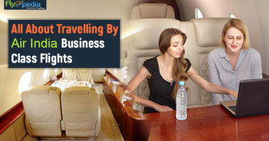 All About Travelling By Air India Business Class Flights