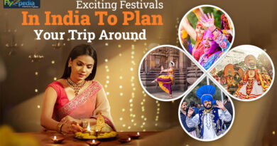 Exciting Festivals In India To Plan Your Trip Around