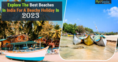 Explore The Best Beaches In India For A Beachy Holiday In 2023