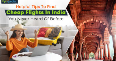 Helpful Tips To Find Cheap Flights In India You Never Heard Of Before