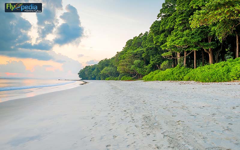 Radhanagar Beach Andaman and Nicobar Islands