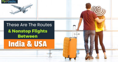 These Are The Routes And Nonstop Flights Between India And USA