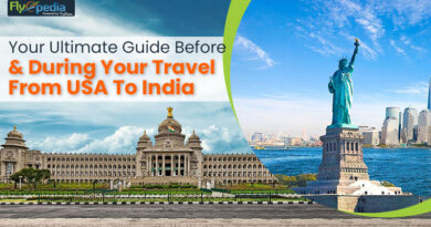 Your Ultimate Guide Before And During Your Travel From USA To India