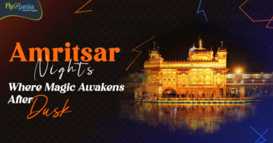 Amritsar Nights Where Magic Awakens After Dusk