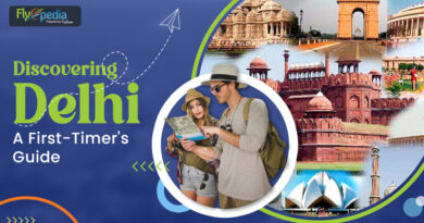 Discovering Delhi A First Timer's Guide