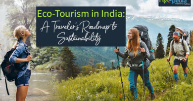 Eco Tourism in India A Traveler's Roadmap to Sustainability