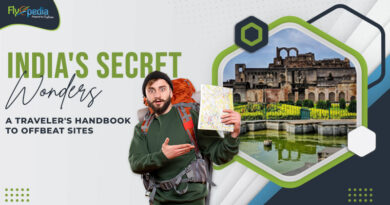 India's Secret Wonders A Traveler's Handbook to Offbeat Sites (5)