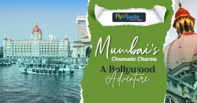 Mumbai's Cinematic Charms A Bollywood Adventure