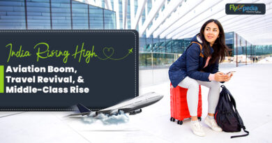 Taking Flight India's Aviation Boom Travel Revival and Middle Class Rise