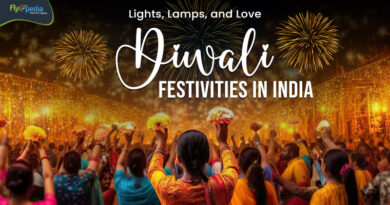 Lights Lamps and Love Diwali Festivities in India