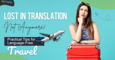 Lost in Translation Not Anymore! Practical Tips for Language Free Travel
