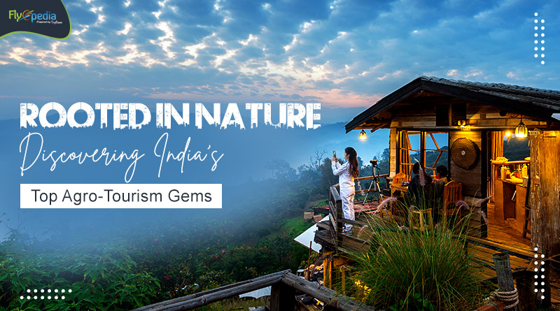 Rooted in Nature Discovering India's Top Agro Tourism Gems