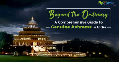 Beyond the Ordinary A Comprehensive Guide to Genuine Ashrams in India