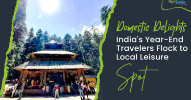 Domestic Delights India's Year End Travelers Flock to Local Leisure Spot