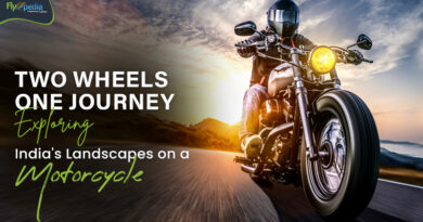 Two Wheels One Journey Exploring India's Landscapes on a Motorcycle