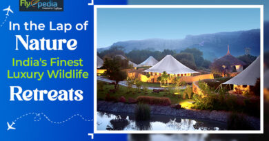 In the Lap of Nature India's Finest Luxury Wildlife Retreats