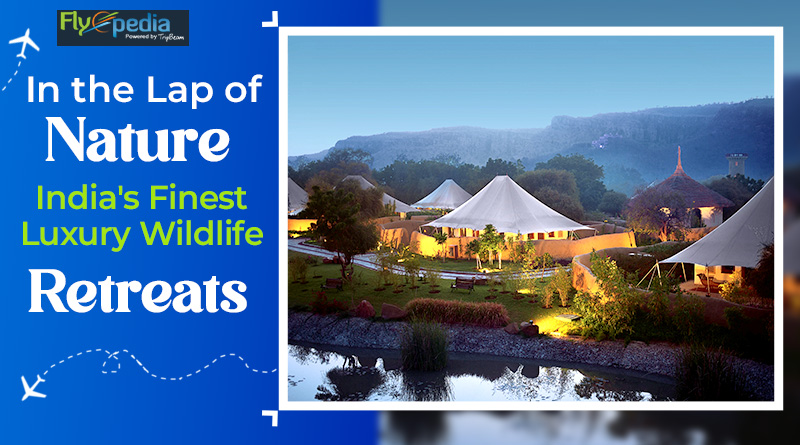 In the Lap of Nature India's Finest Luxury Wildlife Retreats