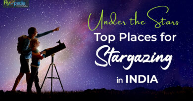 Under the Stars Top Places for Stargazing in India