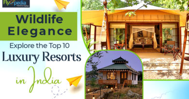 Wildlife Elegance Explore the Top 10 Luxury Resorts in India