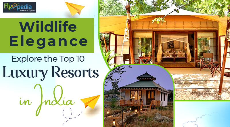 Wildlife Elegance Explore the Top 10 Luxury Resorts in India