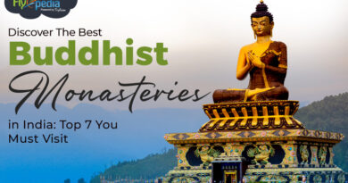 Discover the Best Buddhist Monasteries in India Top 7 You Must Visit