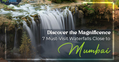 Discover the Magnificence 7 Must Visit Waterfalls Close to Mumbai