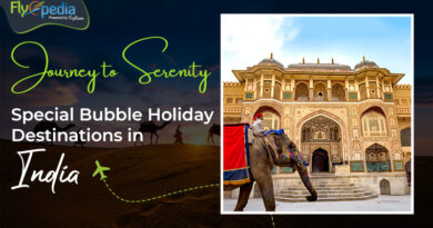 Journey to Serenity Special Bubble Holiday Destinations in India