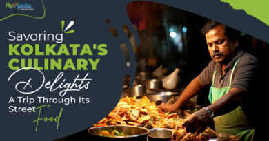 Savoring Kolkata's Culinary Delights A Trip Through Its Street Food