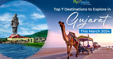 Top 7 Destinations to Explore in Gujarat this March 202
