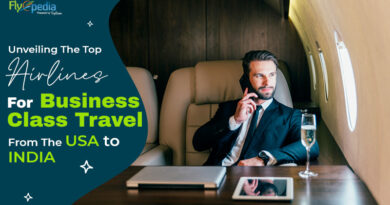 Unveiling the Top Airlines for Business Class Travel from the USA to India