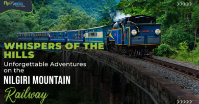 Whispers of the Hills Unforgettable Adventures on the Nilgiri Mountain Railway