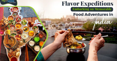 Flavor Expeditions Embarking on Memorable Food Adventures in India