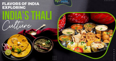 Flavors of India Exploring India's Thali Culture