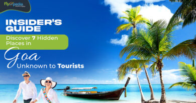 Insider's Guide Discover 7 Hidden Places in Goa Unknown to Tourists