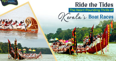 Ride the Tides The Heart Pounding Thrills of Kerala's Boat Races