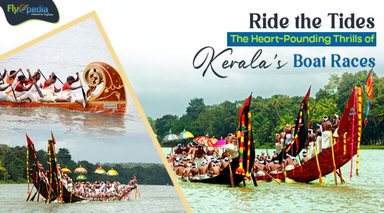 Ride the Tides: The Heart-Pounding Thrills of Kerala's Boat Races