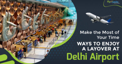 Make the Most of Your Time Ways to Enjoy a Layover at Delhi Airport