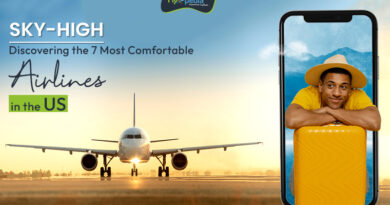Sky High Discovering the 7 Most Comfortable Airlines in the US