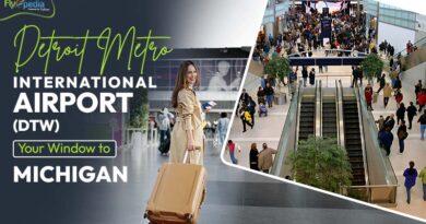 Detroit Metro International Airport(DTW) Your Window to Michigan