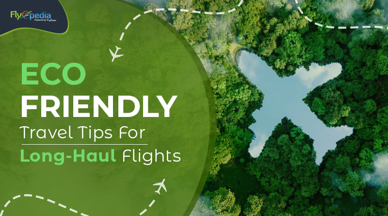 Eco Friendly Travel Tips For Long Haul Flights Flyopedia com