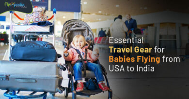Essential Travel Gear for Babies Flying from USA to India Flyopedia com