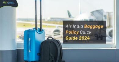Air India Baggage Policy Quick Guide 2024 Flyopedia com