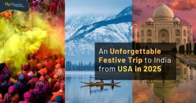 An Unforgettable Festive Trip to India from USA in 2025 flyopedia com