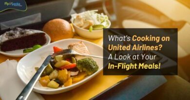 What’s Cooking on United Airlines A Look at Your In Flight Meals! flyopedia com